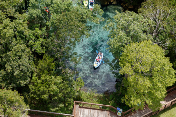 Three Sisters Springs Crystal River Florida Aerial view of the Three Sisters Springs Crystal River Florida photograph taken July 2021 three sisters springs stock pictures, royalty-free photos & images