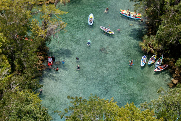 Three Sisters Springs Crystal River Florida Aerial view of the Three Sisters Springs Crystal River Florida photograph taken July 2021 three sisters springs stock pictures, royalty-free photos & images