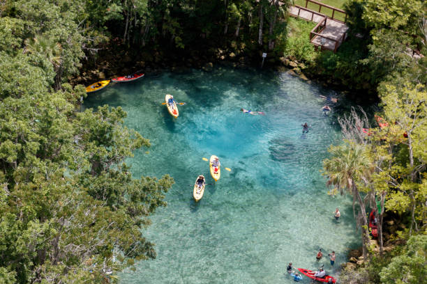 Three Sisters Springs Crystal River Florida Aerial view of the Three Sisters Springs Crystal River Florida photograph taken July 2021 three sisters springs stock pictures, royalty-free photos & images