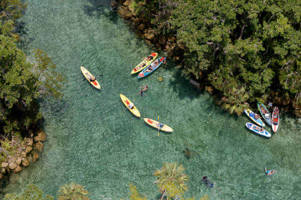 Three Sisters Springs Crystal River Florida Aerial view of the Three Sisters Springs Crystal River Florida photograph taken July 2021 three sisters springs stock pictures, royalty-free photos & images