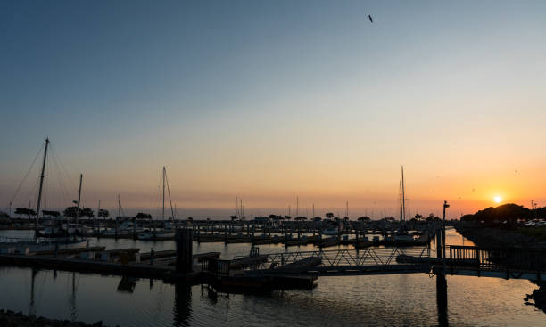Dramatic image of the marina in San Leandro, California at sunset. Dark image at sunset with orange skies and sailboats on the marina in the background with calm bay water. marina california stock pictures, royalty-free photos & images