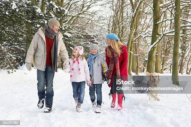 Família Caminhada Através Da Floresta Nevadascomment Cão - Fotografias de stock e mais imagens de Família