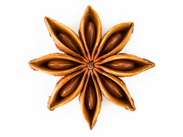 istock Single Chinese star anise  isolated on white background. 1342174022