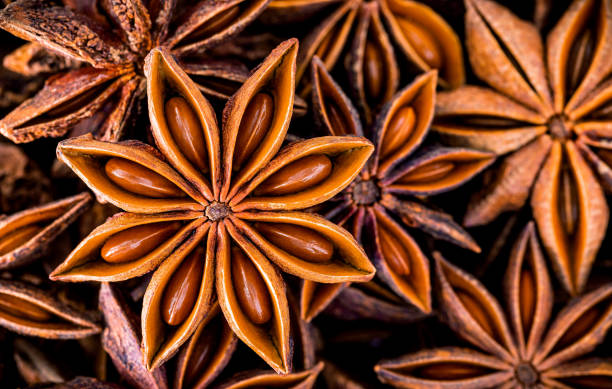 Chinese star anise close up background. Dried star anise spice fruits top view. Chinese star anise close up background. Dried star anise spice fruits top view. star anise stock pictures, royalty-free photos & images