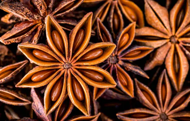 Chinese star anise close up background. Dried star anise spice fruits top view.