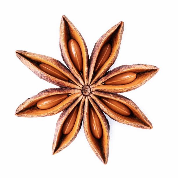istock Single Chinese star anise isolated on white background. 1342174228