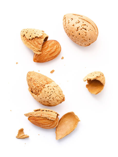 istock Close up group of almonds nut with shell  and cracked almonds shell isolated on white background. 1342175360