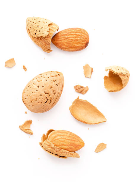 istock Close up group of almonds nut with shell  and cracked almonds shell isolated on white background. 1342175404