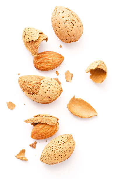 istock Close up group of almonds nut with shell  and cracked almonds shell isolated on white background. 1342175684