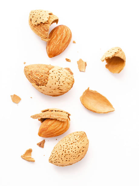 istock Close up group of almonds nut with shell  and cracked almonds shell isolated on white background. 1342176266