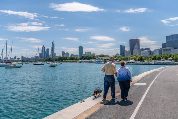 cavalier king charles spaniel va se promener au lac de chicago - chicago skyline lake nautical vessel photos et images de collection