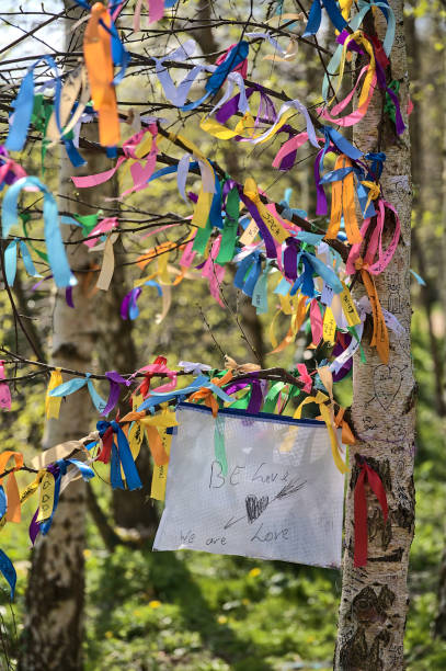 Be Love, We Are Love: many colorful ribbons tied on branches of spring birch tree stock photo