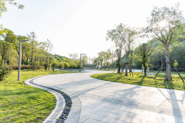 istock Green Park in a modern city. Exercise and relaxation. 1342186662