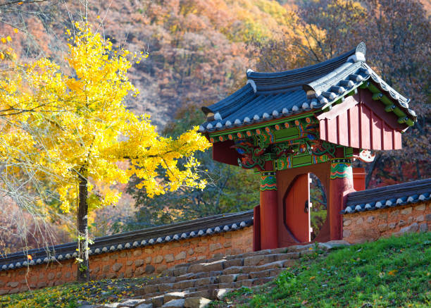 istock Autumn in Korea 1342187535