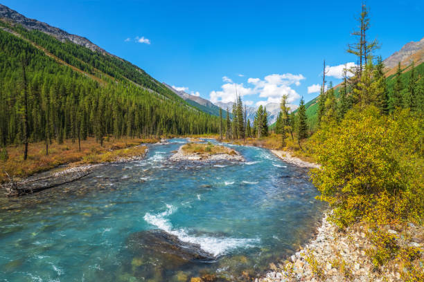 istock Water rapids. Power mountain river flows down from the glacier. Beautiful alpine landscape with azure water in a fast river. The power of the majestic nature of the highlands. Altai Mountains. 1342188471
