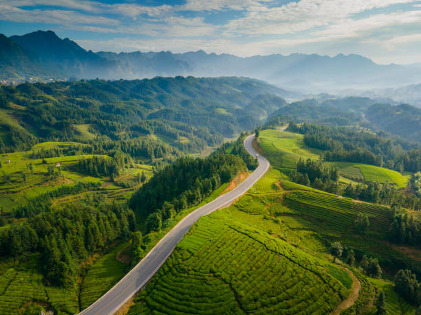 route de campagne dans la colline de campagne, chine - winding road country road lane tea crop photos et images de collection