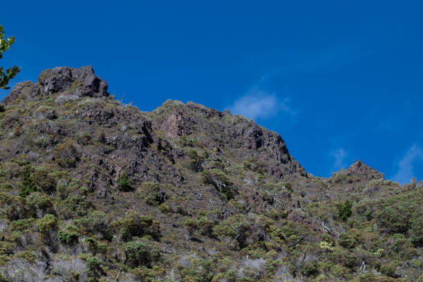 istock rock formation covered with paramo type shrub in Chirripo national park in Costa Rica 1342190864