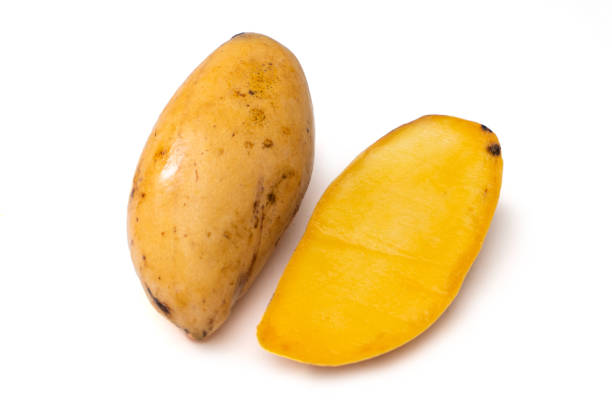 krankheit mango auf weißem grund - colletotrichum stock-fotos und bilder