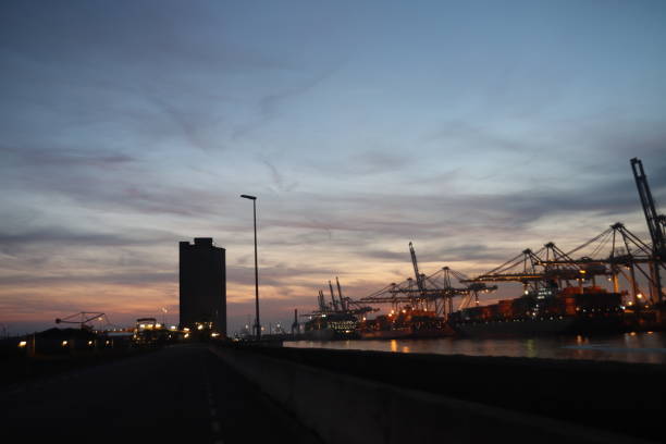 Cranes at Maasvlakte Container terminal during sunset  in the port of Rotterdam