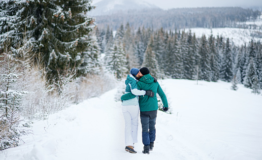 A rear view of mature couple walking arm in arm outdoors in winter nature, Tatra mountains Slovakia.