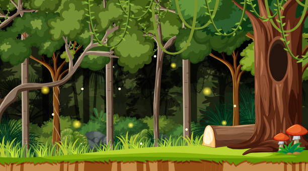 začátkové pozadí lesní krajiny - les stock ilustrace