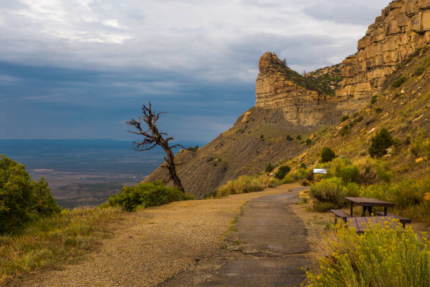 Cliff dwellings and wild Colorado plateau landscapes in Mesa Verde national park.