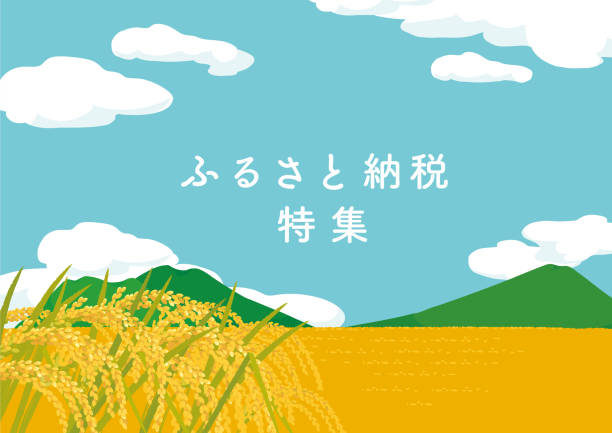 Hometown tax donation program image illustration/ Japanese translation is "Hometown tax donation program" Hometown tax donation program image illustration/ Japanese translation is "Hometown tax donation program" rice bran stock illustrations