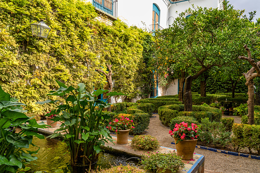 Cordoba, Spain - November 03, 2020: Courtyard garden of Viana Palace in Cordoba, Andalusia. Built in XV century. Viana Palace is a tourist attraction known for its 12 magnificent patios and gardens.