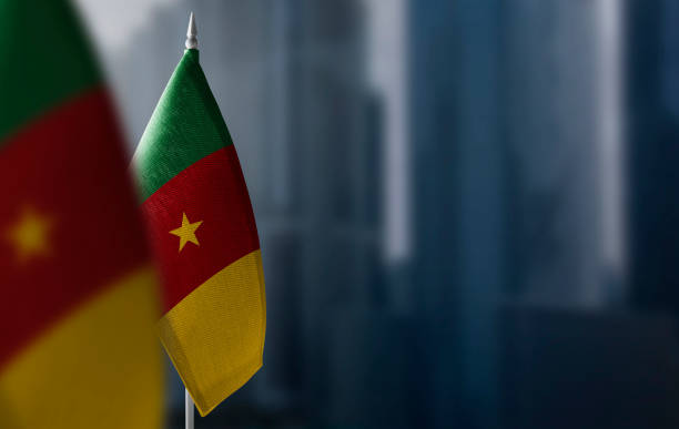 Small flags of Cameroon on a blurry background of the city Small flags of Cameroon on a blurry background of the city. yaounde photos stock pictures, royalty-free photos & images
