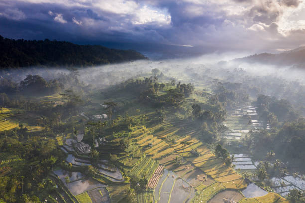aerial landscape of sidemen village in bali indonesia - sidemen stok fotoğraflar ve resimler