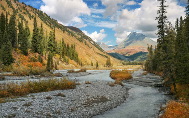 istock Mountain valley with river, autumn 1342208245