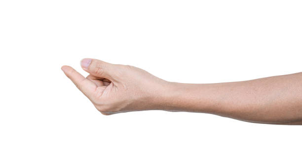 istock Man hand to hold something, Isolated on white background with clipping path. 1342210045