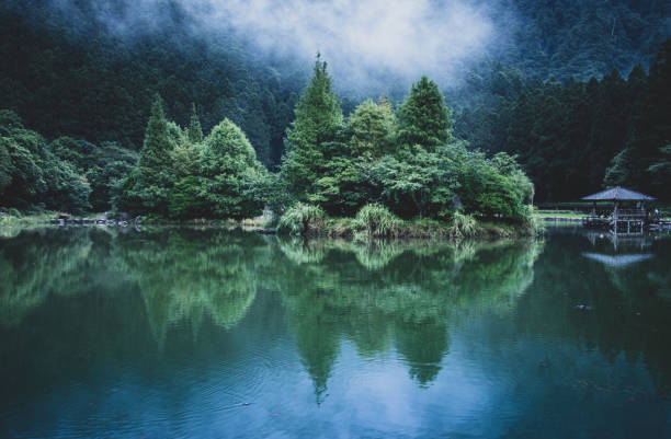 Reflection of trees and pavilion in water