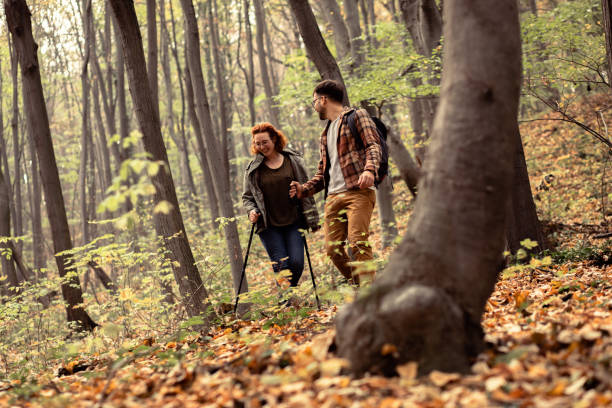 istock Young couple with backpack hiking in forest. 1342211305