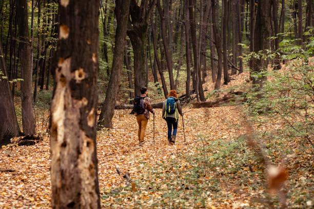 istock Young couple with backpack hiking in forest. 1342212166