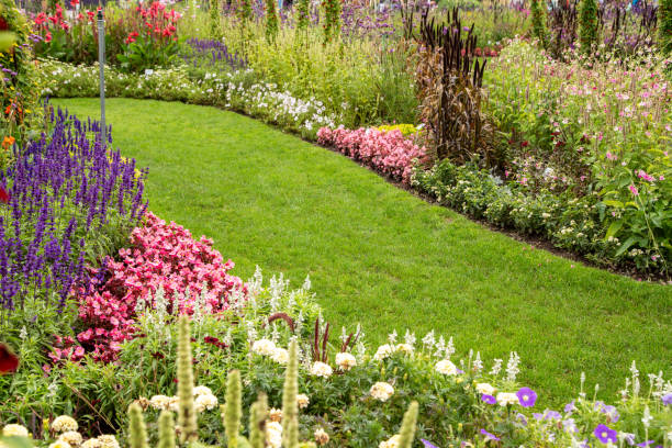 istock Beautiful flower garden in summer. 1342217180