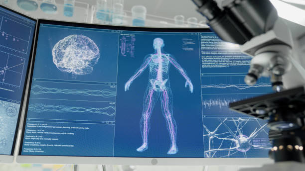 istock Human skeleton models on computer screen. Looking for injury. Futuristic laboratory research 1342218941