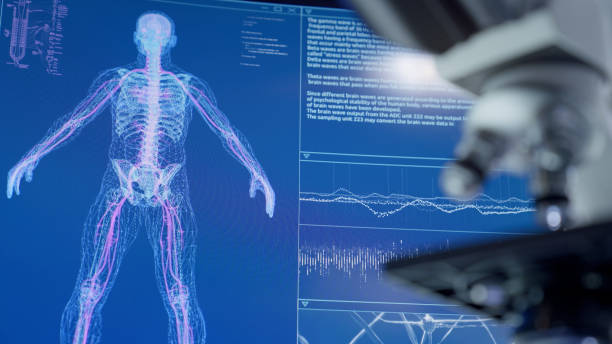 istock Human skeleton models on computer screen. Looking for injury. Futuristic laboratory research 1342218944