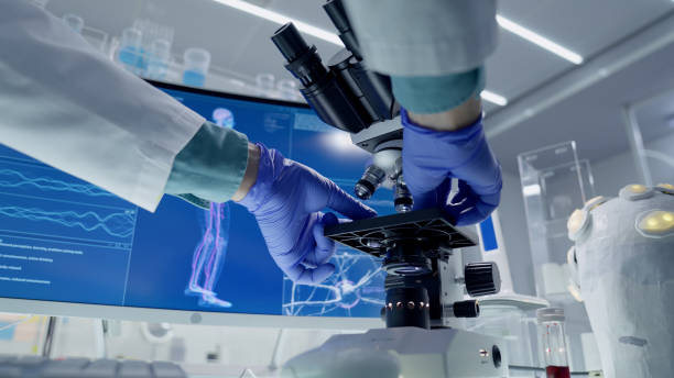 istock Scientist calibrating microscope in research laboratory. Close up on hands. Screens with DNA and skeleton models in background 1342218961