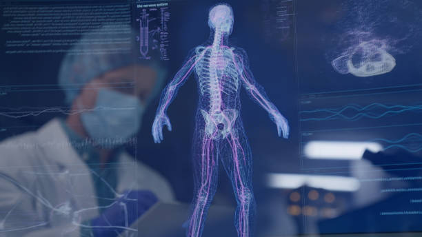 istock Scientist studying human skeleton. Detailed models on computer screen. Silhouette reflecting in screen. Futuristic laboratory research 1342219016
