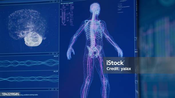 Human Computer Skeleton Human Skeleton Models On Computer Screen Brain And Dna Study Futuristic ...