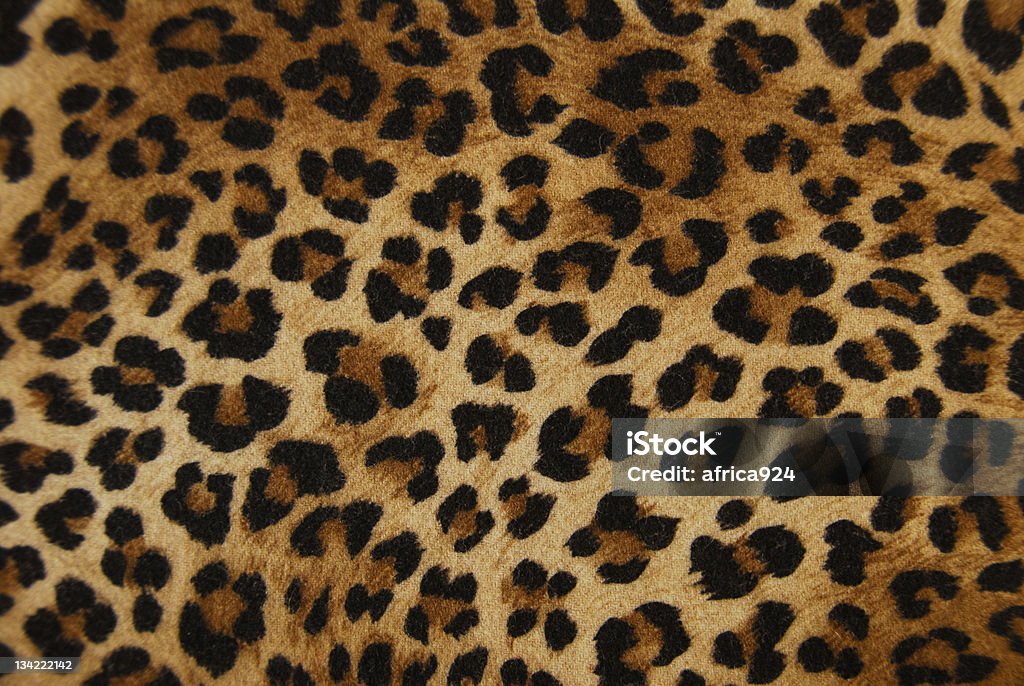 sfondo leopardo - Zbiór zdjęć royalty-free (Lampart afrykański)