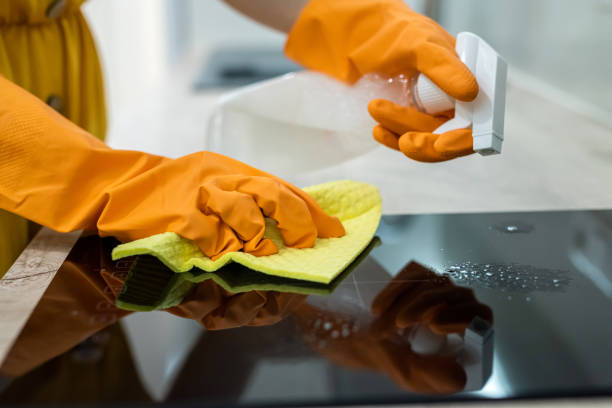 istock Female hands in gloves cleaning black kitchen surface 1342223210