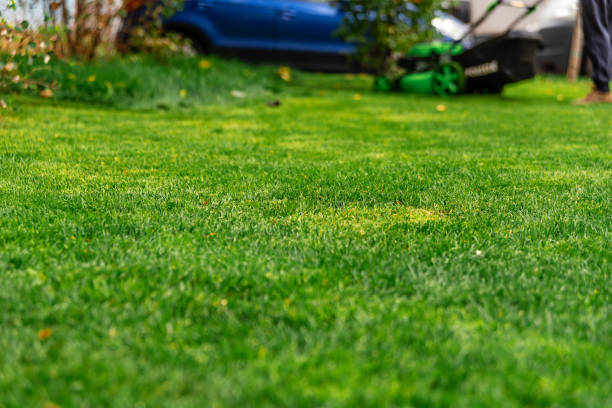 istock lawn mower in the garden 1342223258