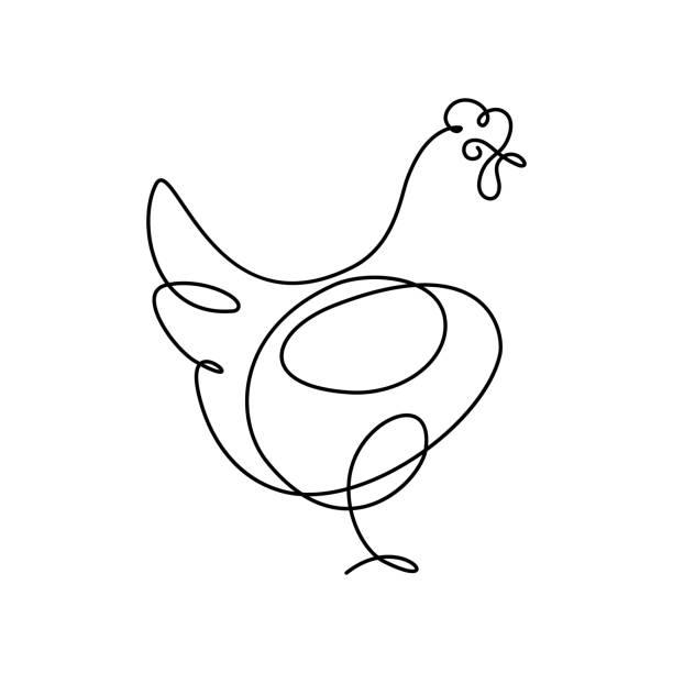 Chicken Hen in continuous line art drawing style. Chicken minimalist black linear design isolated on white background. Vector illustration farm clipart stock illustrations