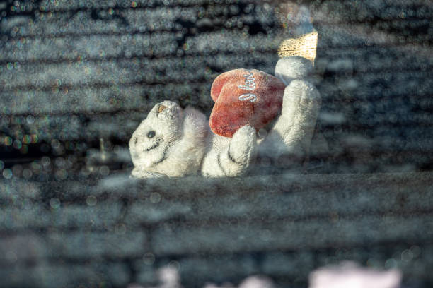 view through the dewy car rear windshield on a toy bear inside the car, selective soft focus