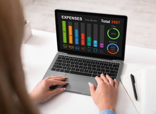 istock Woman using laptop at office, checking her expenses 1342226828