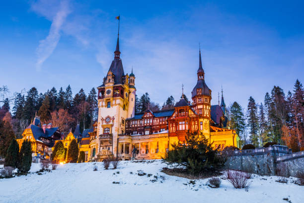 pieles de castillo - sinaia fotografías e imágenes de stock