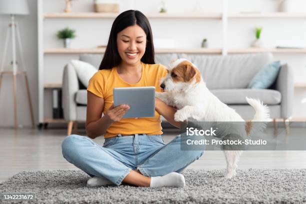 Asian Woman And Cute Dog Having Fun Together At Home Stock Photo - Download Image Now