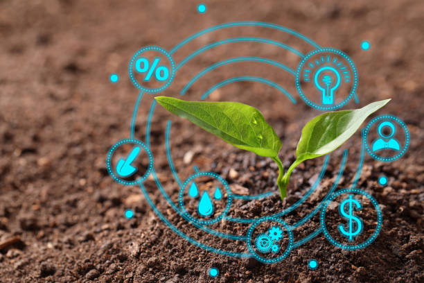 istock Modern technology in agriculture. Green seedling and icons 1342233541